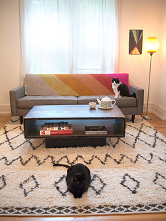 Kitties-and-heirloom-chevron-blanket-small_small2