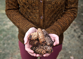 Pomme-de-pin-cardigan-detail_small2