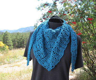 Littlewingsshawlette01_small2