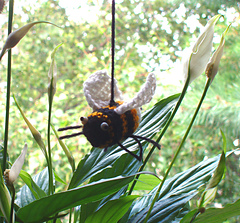 Bee1_small