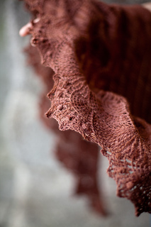 Img_6988_small2