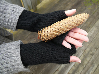 Black_gloves_small2