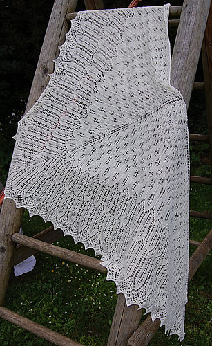 Dsc_4898_klein_medium
