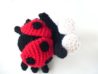 Ladybug2_small2