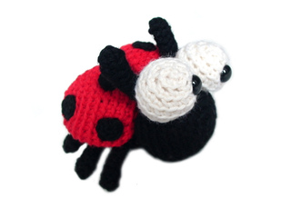 Ladybug3_small2
