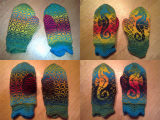 Hippocampus_kopie_small2
