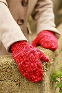 Redmitt3_medium2_small2