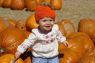 Sweet_berry_farm01_small2
