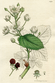 3print_small2