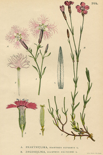 6print_small2