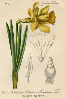7print_small2