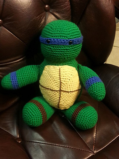 Ben_turtle_2_small2