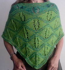 Poncho2_small