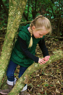 Green_katniss_14_small2