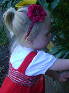 Amy1_small2