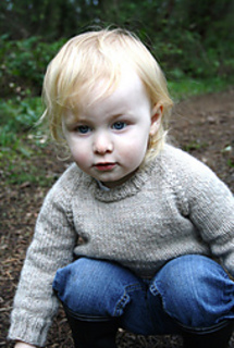 Classic_raglan_pullover_078__smaller__small2