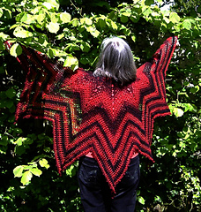 Dragons_blood_flyer_unblocked_wingspan_dscf5363_small