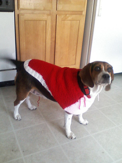 Dog_sweater_small2