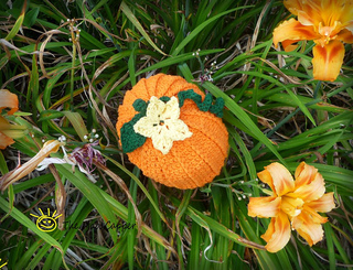 Franciepumpkin2_small2