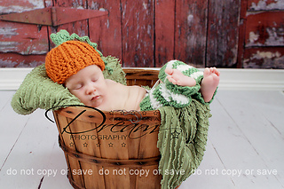 Pumpkin_set_small2