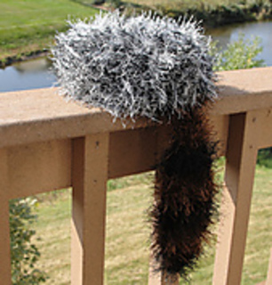 Martinacoonhat2_small2
