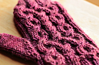2013_01_08_qed_mittens-09_edited-1_small2
