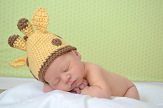 Dsc_0039_small2