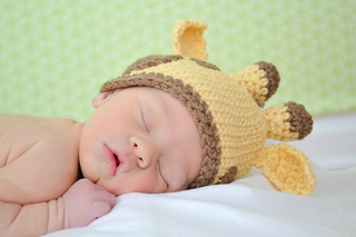 Dsc_0037_small2