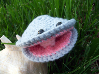 Clam_small2