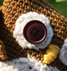 Owl_eye_small