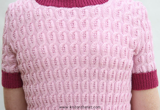 Backb_small2