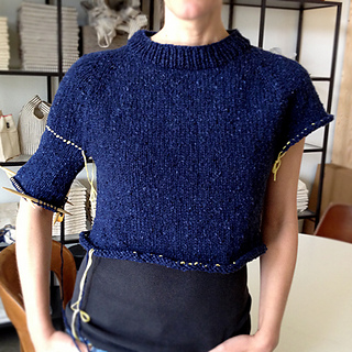 Half_sleeve_and_body_small2