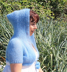 Hood_2_small_small