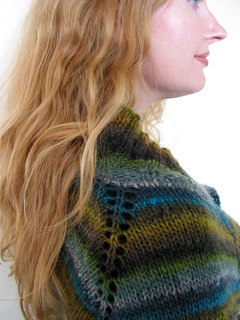 Metis-raglan_small2