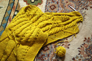 Maize-preview-2_small2
