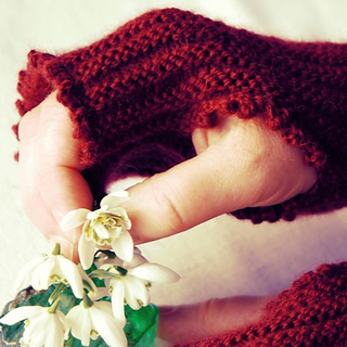 Cosy__10_small2