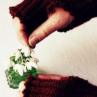 Cosy__11_small2