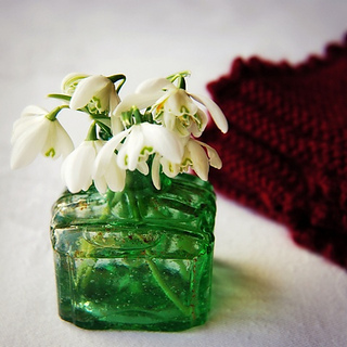 Cosy__14_small2