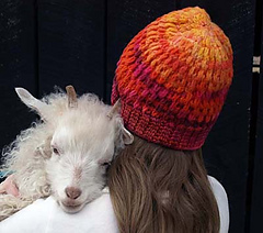 Hat1_400__small
