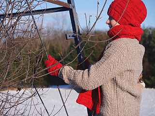 Treefarm284_72dpi_small2