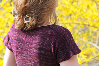 Helena_sfolly_coverback_the_knitting_vortex_small2