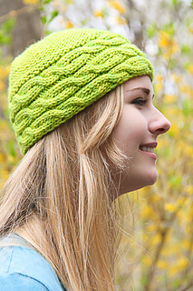 Shecat_applegreen_the_knitting_vortex_small2
