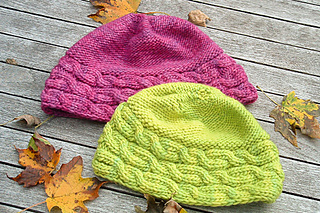 Shecat_last_look_the_knitting_vortex_small2