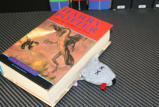 Big_under_book_rect_small2