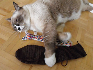 Staked_sock_small2