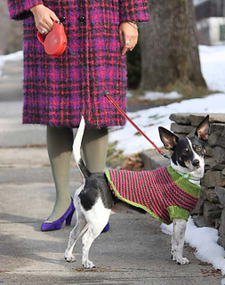 Dog_sweater_junie_kristin_nicholas_small2