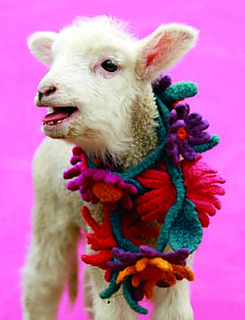 Olympia_baahing_web_page_small2