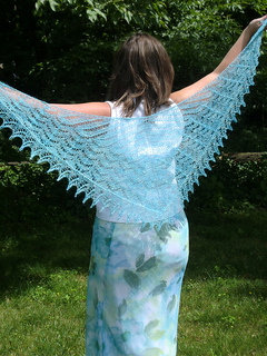 Pf5-wings_small2