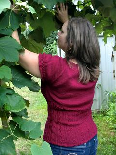 Pf3-side-grapevines_small2