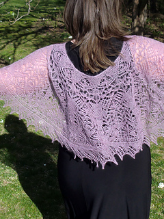 Pf2-back_small2